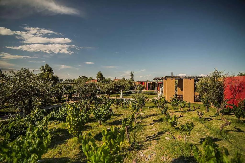 Experiência Casa Vigil em Mendoza