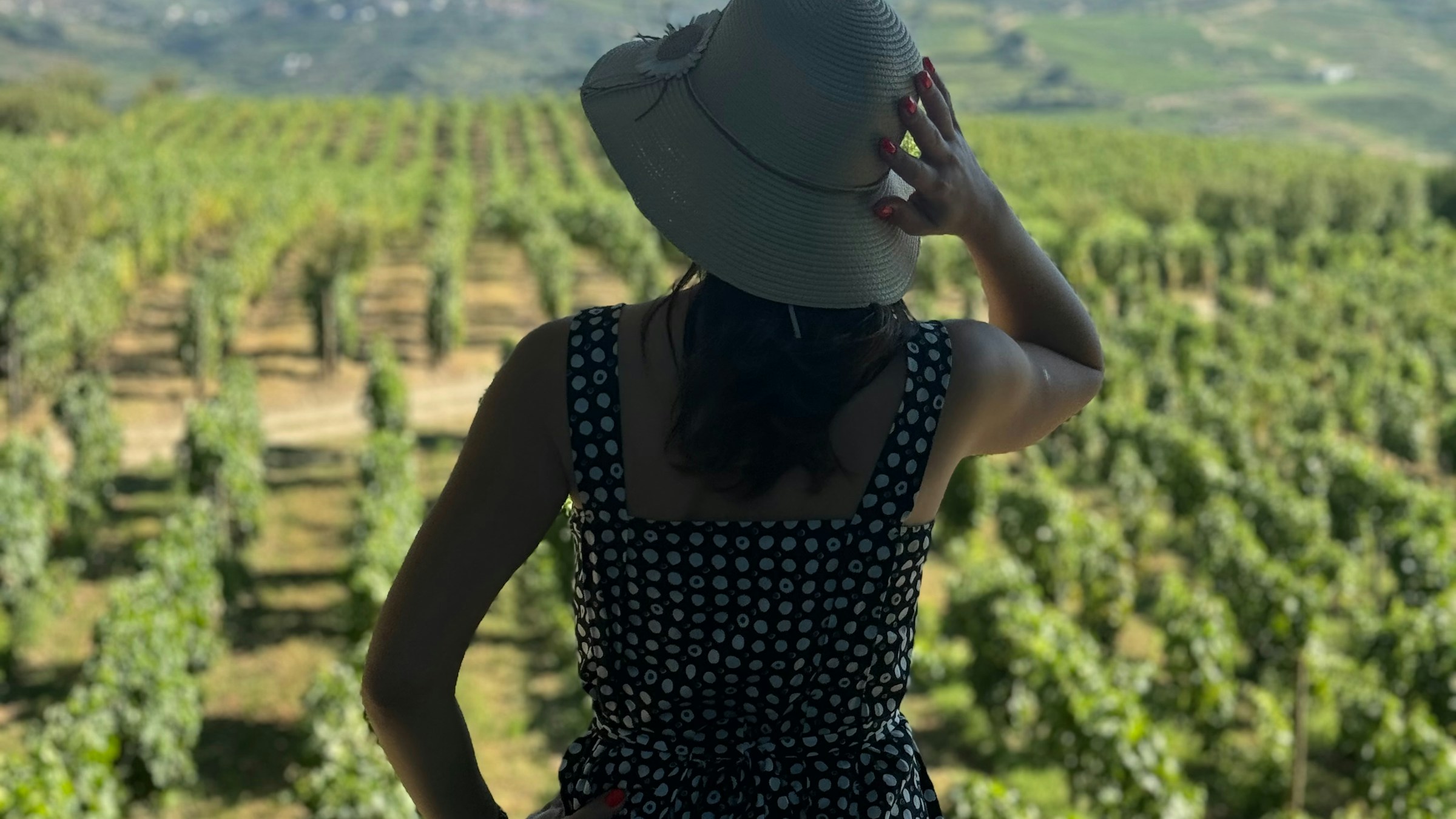 Grupo de mulheres celebrando juntas com taças de vinho